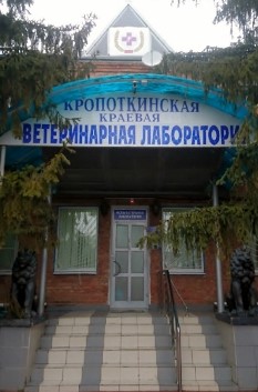 �������� � � ���� ������ �������������� �������� ������ ����.